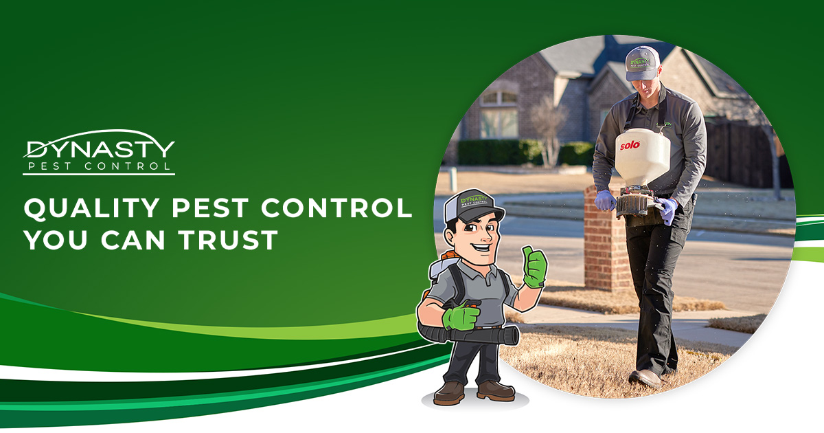 Dynasty Pest Control DFW Pest Control Exterminator in Dallas